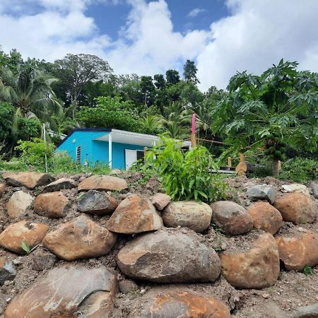 Bung A Ziotte Villa Deshaies Ngoại thất bức ảnh